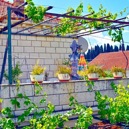 Ljubica Center דוברובניק