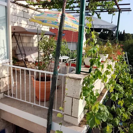 Ljubica Center * דוברובניק