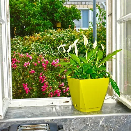 Ljubica Center * 두브로브니크