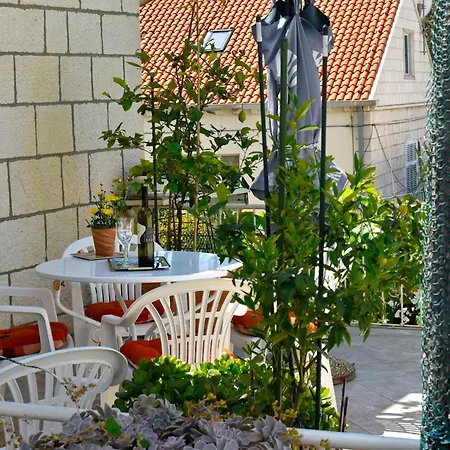 Apartment Ljubica Center