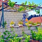 Ljubica Center דוברובניק