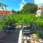דירה Ljubica Center דוברובניק