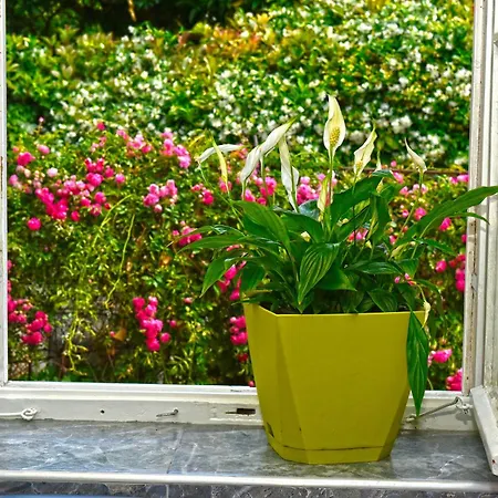 Ljubica Center Apartman