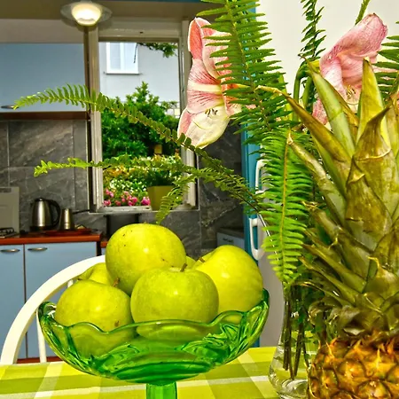 Apartman Ljubica Center