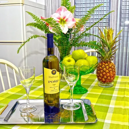 Apartman Ljubica Center *